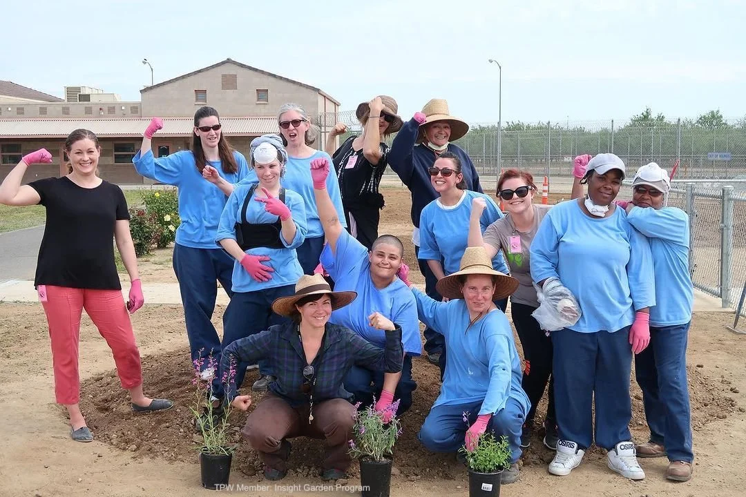 Insight Garden Program